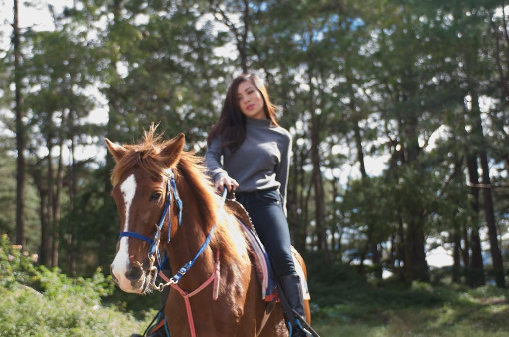 Baguio Holiday Villas Baguio City Екстериор снимка
